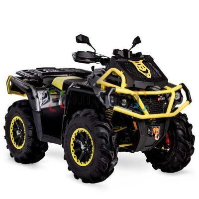 Квадроцикл AODES (Аодес) Pathcross ATV1000S MUD PRO EPS LCD одноместный серый с ПСМ