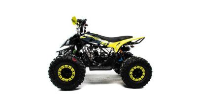 Квадроцикл детский MotoLand (Мотолэнд) VOX125 RAPTOR A (машинокомплект)