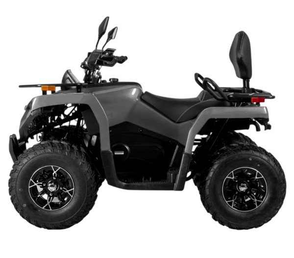 Квадрицикл Bizon (Бизон) YK250 LUX EFI серый с ПСМ - купить с доставкой, цены в интернет-магазине Мототека