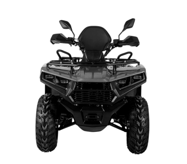 Квадрицикл Bizon (Бизон) YK250 LUX EFI серый с ПСМ - купить с доставкой, цены в интернет-магазине Мототека