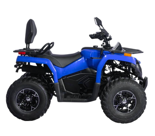 Квадрицикл Bizon (Бизон) YK250 LUX EFI синий с ПСМ | Мототека