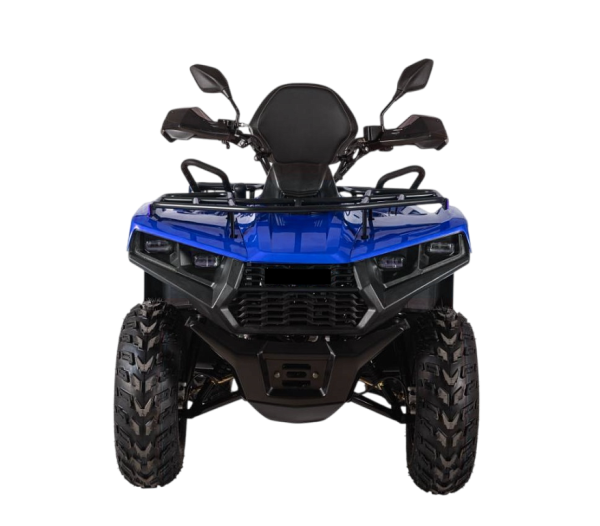 Квадрицикл Bizon (Бизон) YK250 LUX EFI синий с ПСМ | Мототека